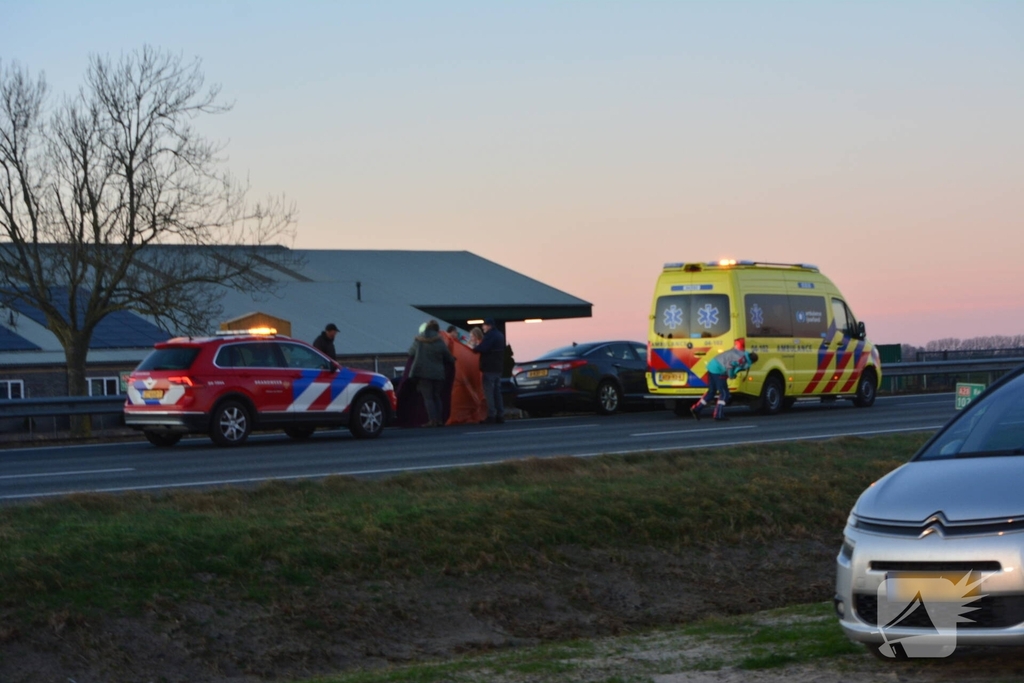 Verkeersongeval door loslopende hond op snelweg