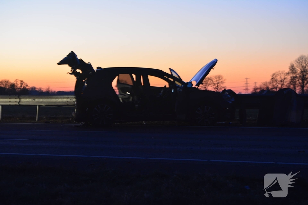 Verkeersongeval door loslopende hond op snelweg