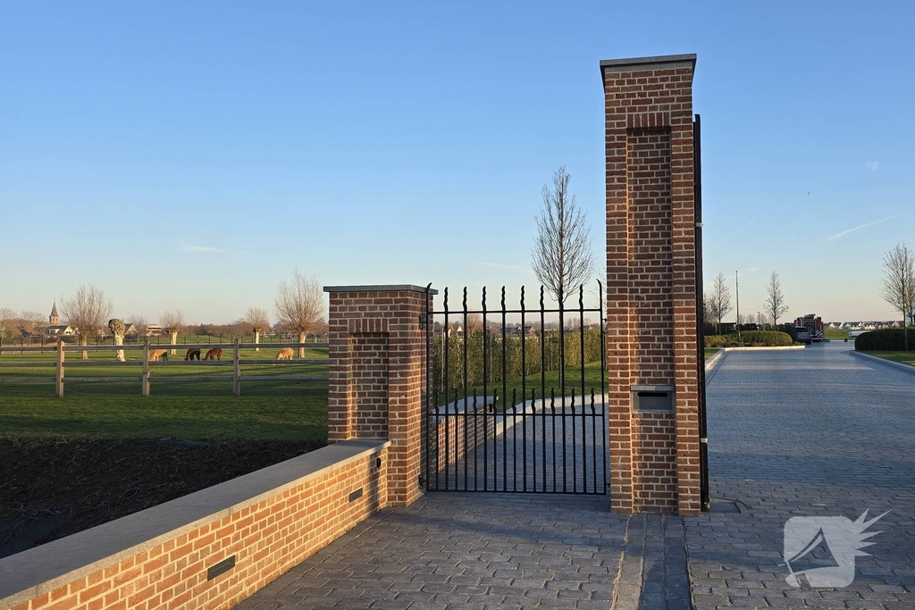 Schotse Hooglander in nood na doorzakken ijs