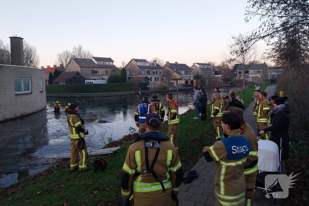 Eend vast op ijs krijgt hulp