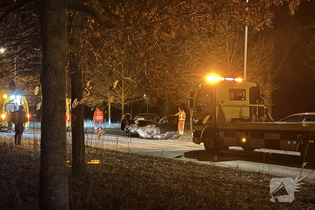 Gewonde en forse schade aan boom, paal en auto