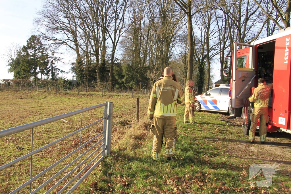 Stier onderkoeld uit ijs gehaald door brandweerlieden