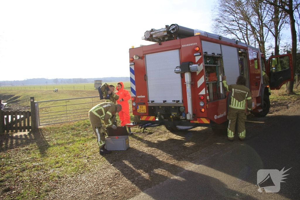 Stier onderkoeld uit ijs gehaald door brandweerlieden