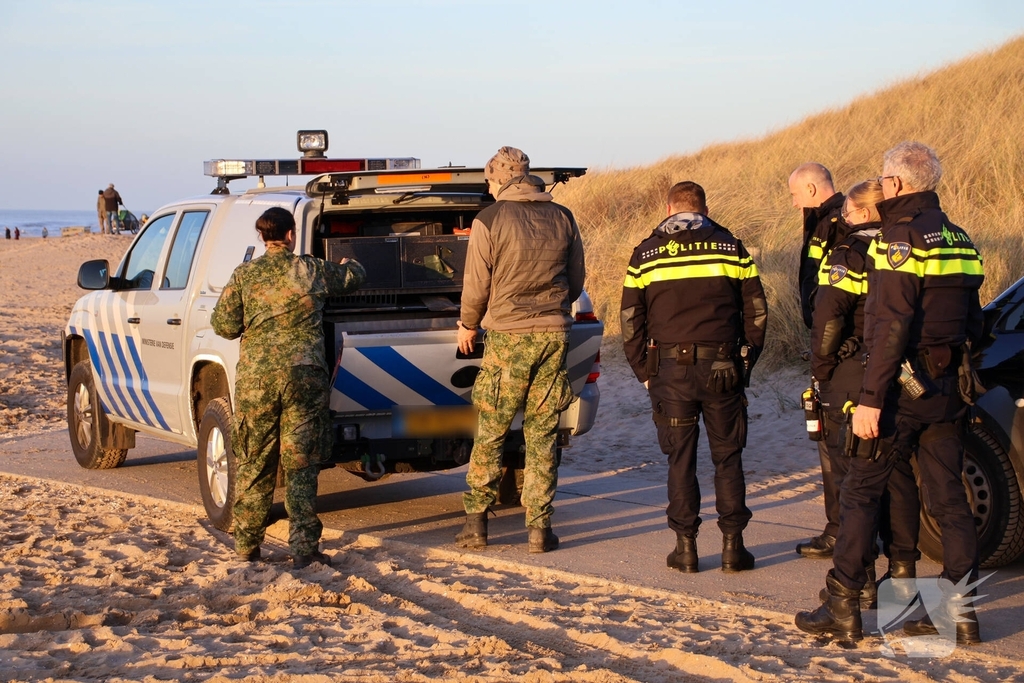 Magneetvisser vist handgranaat op