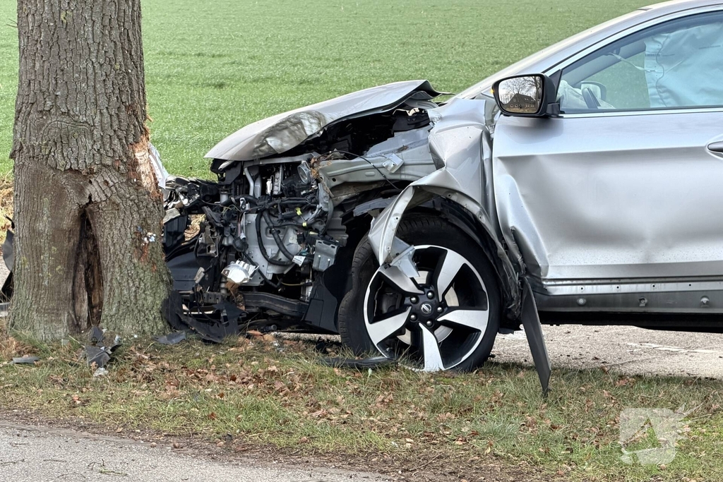 Bestuurder gewond na aanrijding met boom