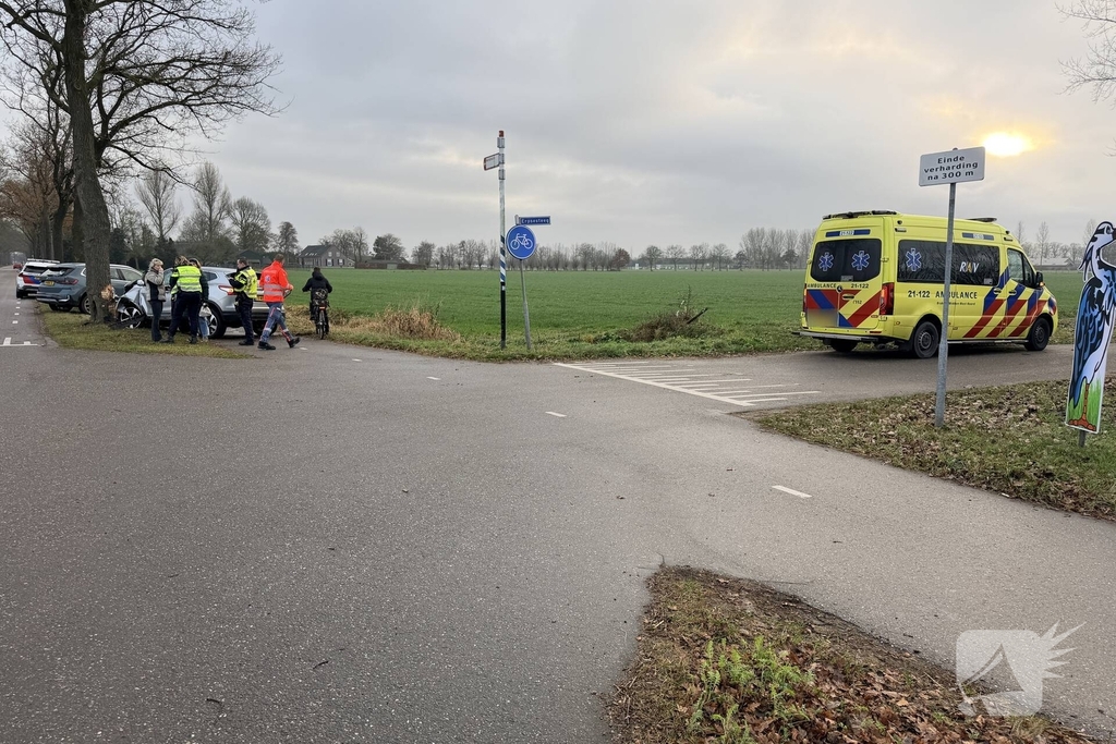 Bestuurder gewond na aanrijding met boom