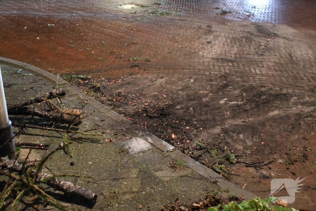 Kerstboom in brand gestoken door jeugd