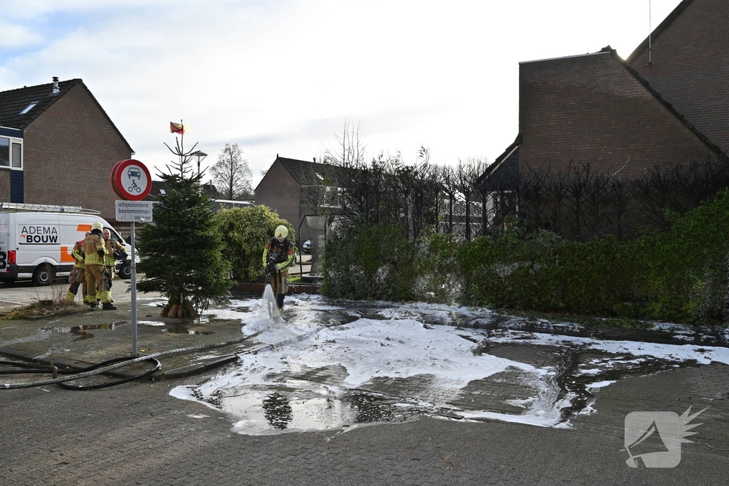 Coniferenhaag in brand