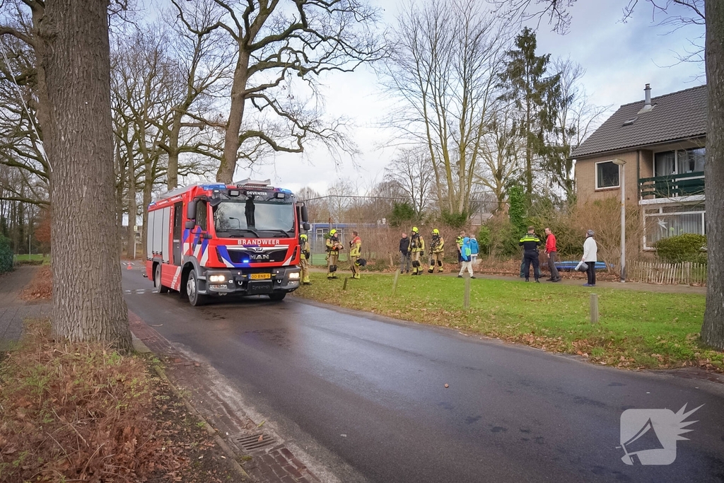 Konijnen in veiligheid na brand bij hok