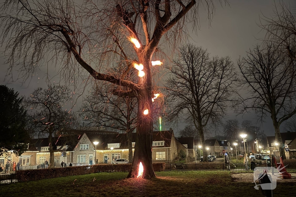 Spookboom in lichterlaaie midden in woonwijk