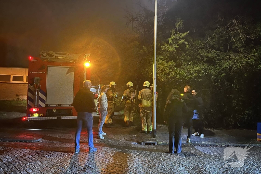 Heg in brand tijdens nieuwjaarsnacht