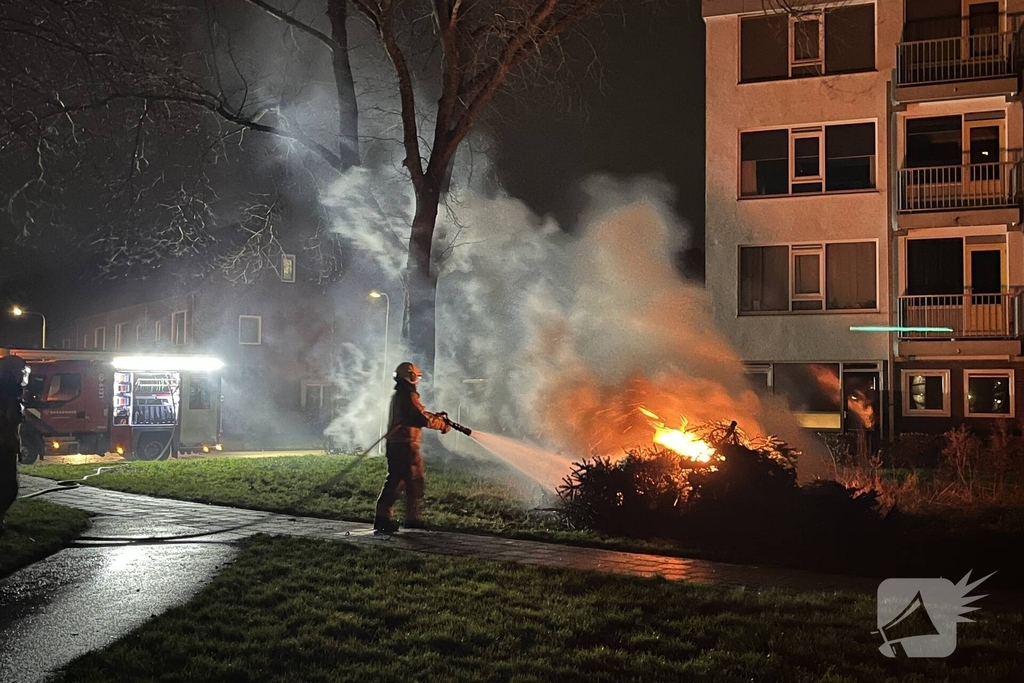 Brand in bult met kerstbomen