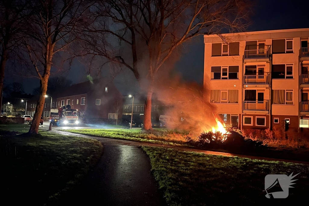 Brand in bult met kerstbomen