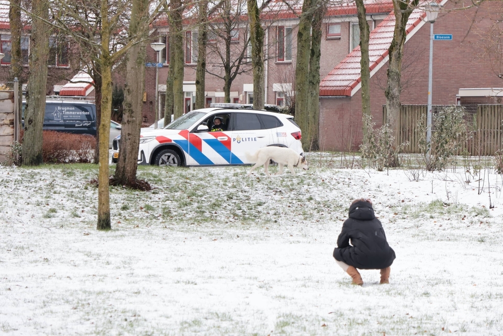 Ontsnapte hond Rylin na kat en muisspel van twee uur gevangen