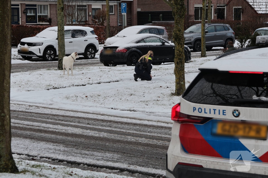 Ontsnapte hond Rylin na kat en muisspel van twee uur gevangen