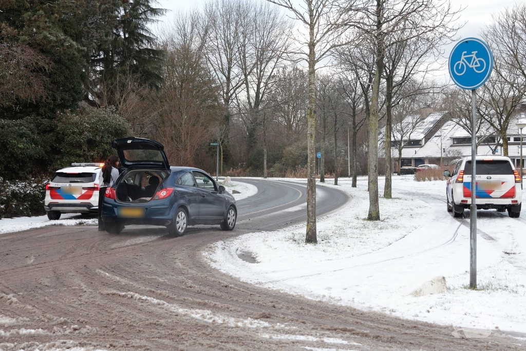 Ontsnapte hond Rylin na kat en muisspel van twee uur gevangen