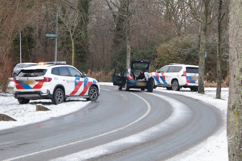 Ontsnapte hond Rylin na kat en muisspel van twee uur gevangen