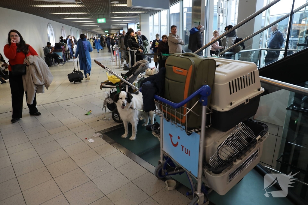 Drukte op Schiphol door vertragende vluchten door winterseweer
