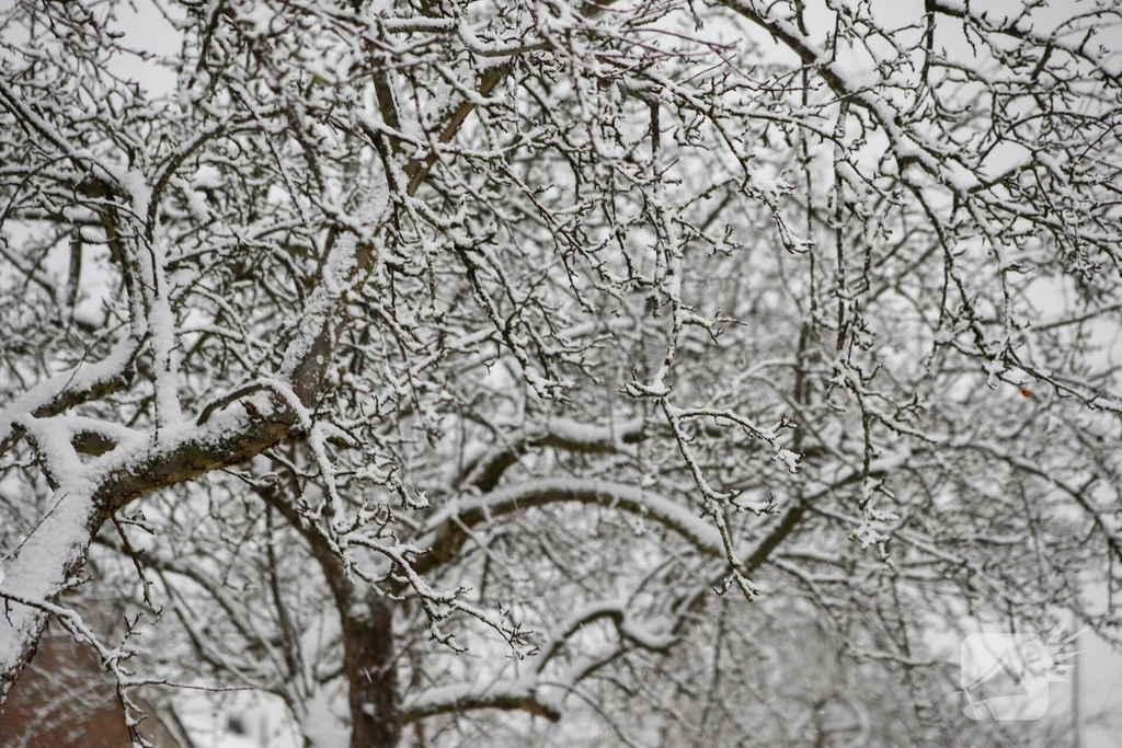 Sneeuwpret na kerstvakantie met code oranje
