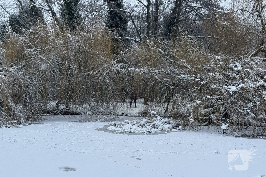 Brandweer redt kind van eilandje op het ijs