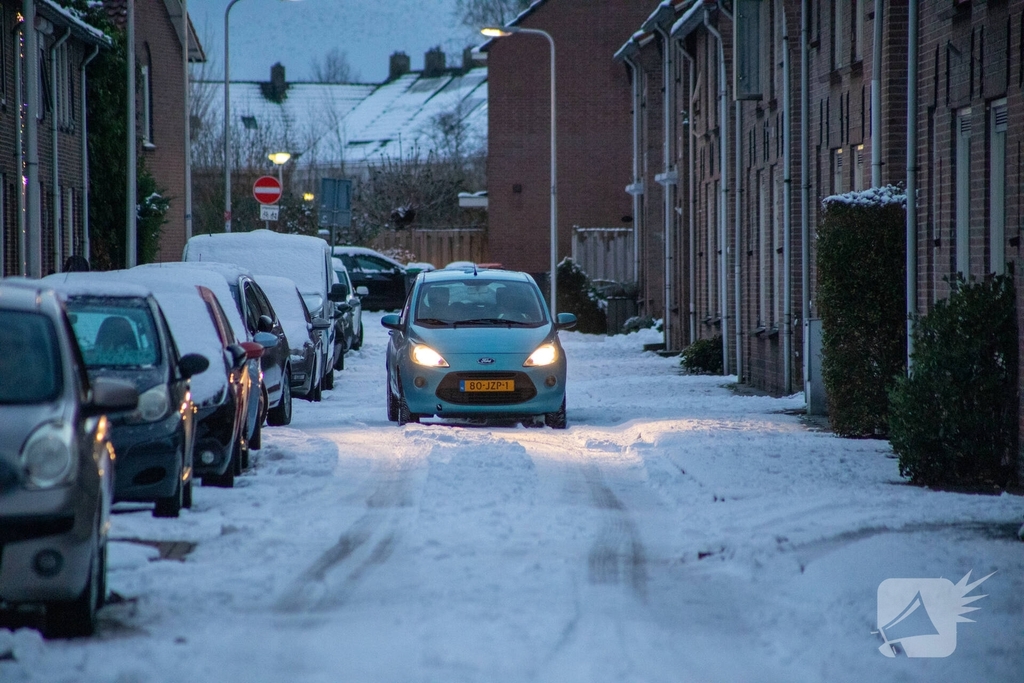 Sneeuwpret voor dier en mens