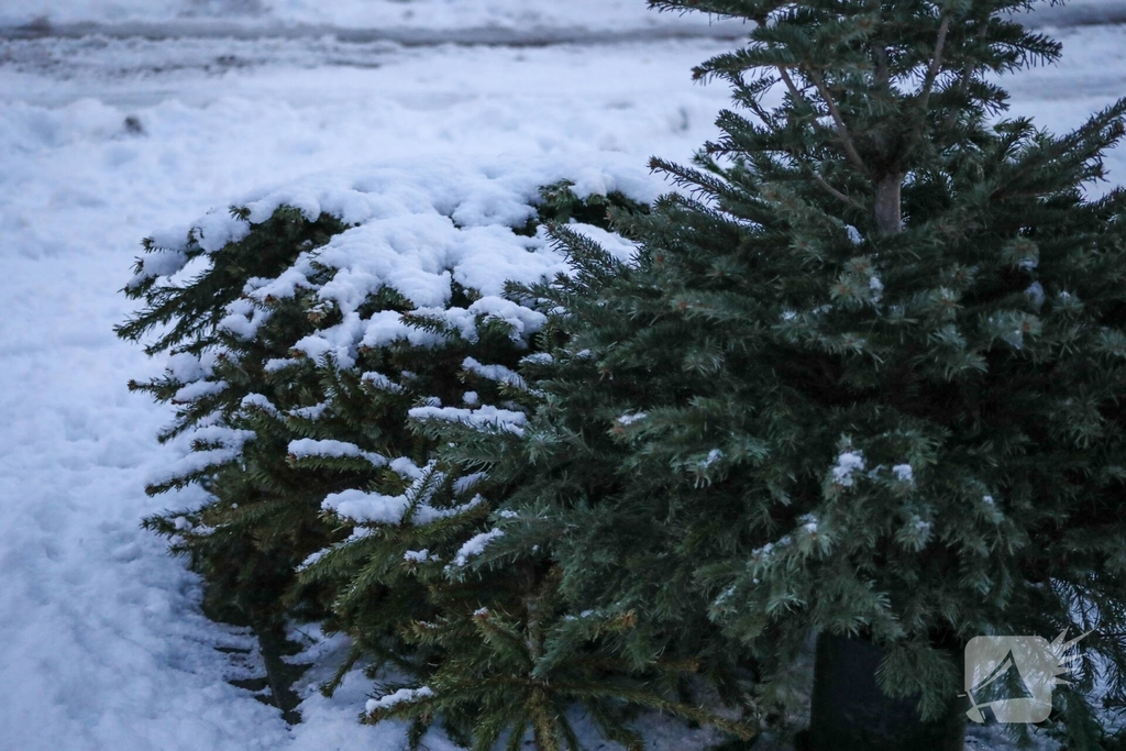 Sneeuwpret voor dier en mens