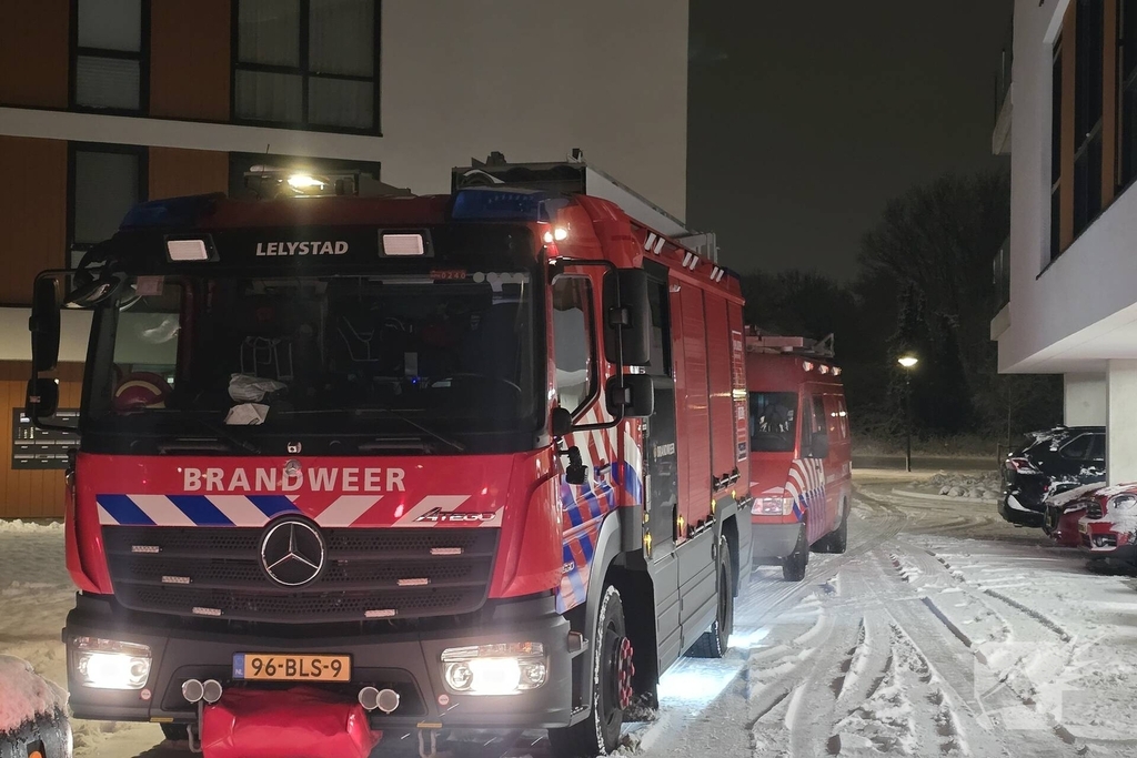 Duikteam ingeschakeld voor vastzittende zwaan