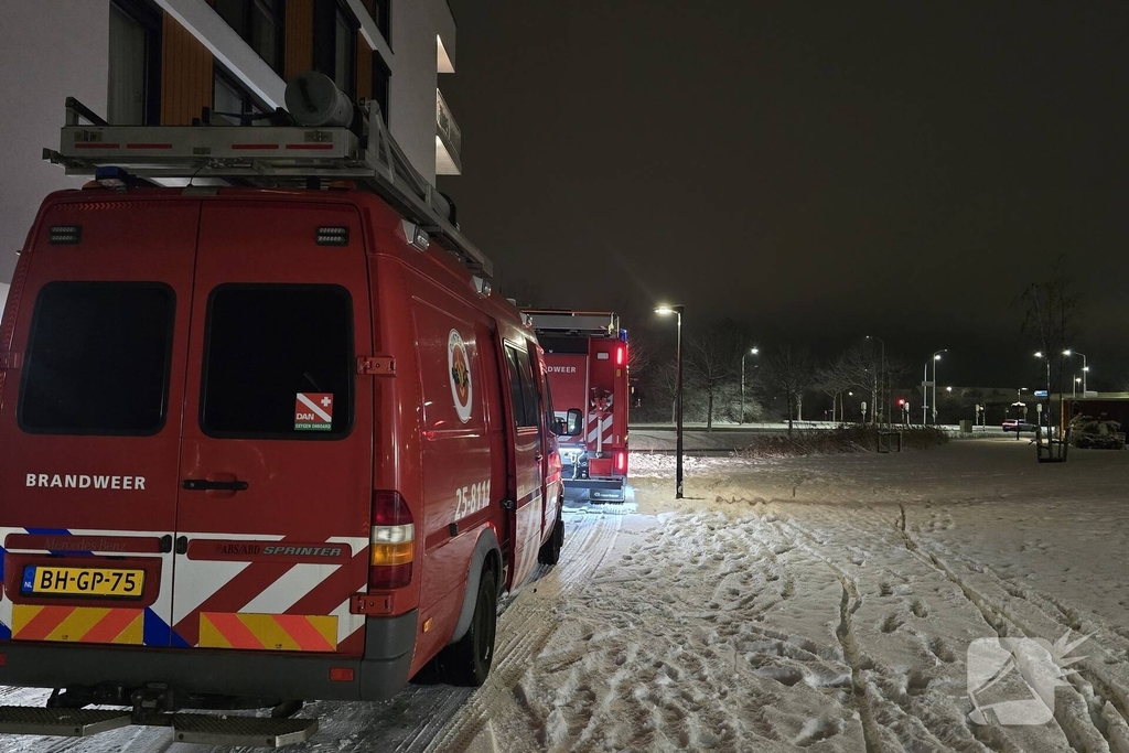 Duikteam ingeschakeld voor vastzittende zwaan