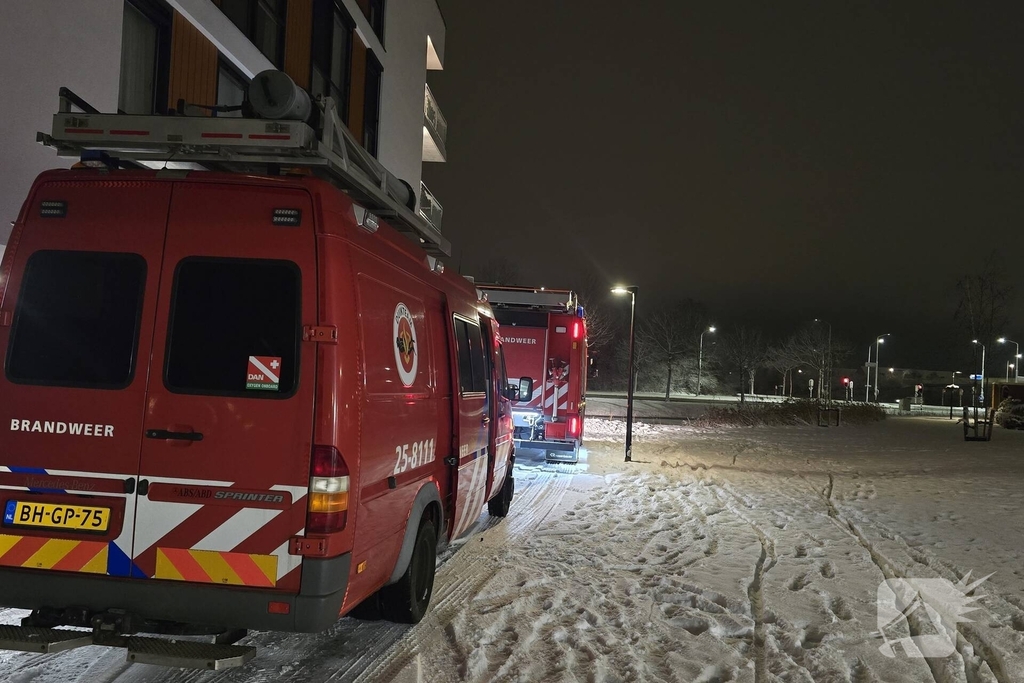 Duikteam ingeschakeld voor vastzittende zwaan