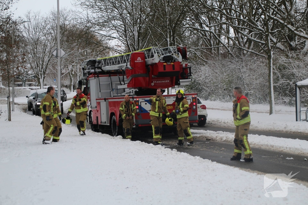 Brandweer redt kat uit ondergesneeuwde boom