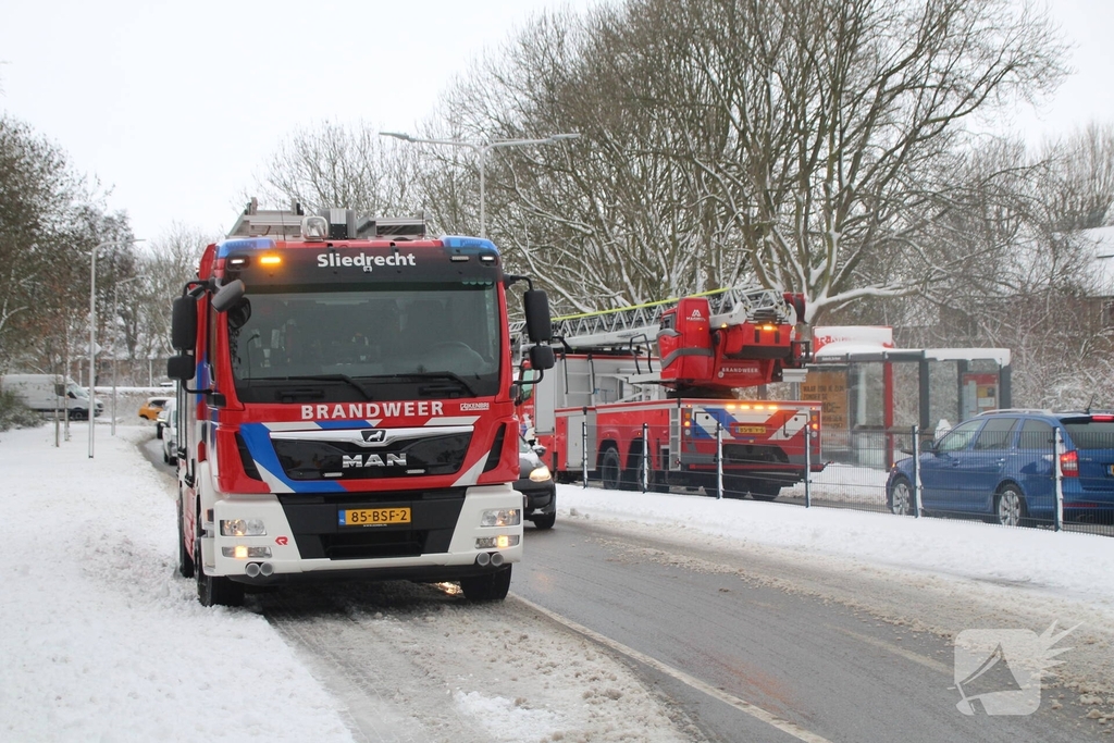 Brandweer redt kat uit ondergesneeuwde boom