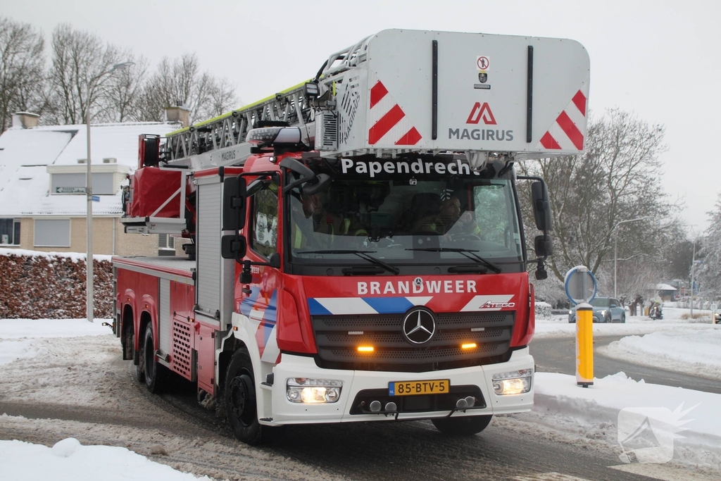 Brandweer redt kat uit ondergesneeuwde boom