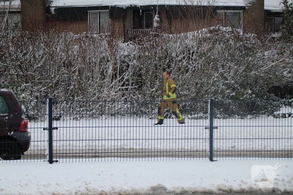 Brandweer redt kat uit ondergesneeuwde boom