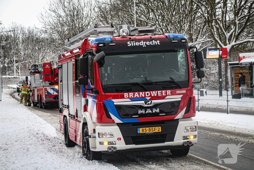 Brandweer redt kat uit ondergesneeuwde boom