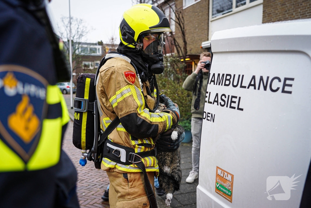 Bewoners niet thuis tijdens zolderbrand, twee katten gered