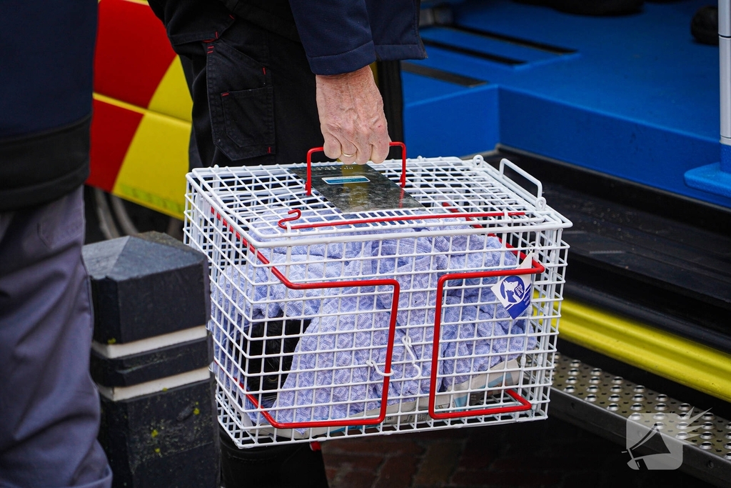 Bewoners niet thuis tijdens zolderbrand, twee katten gered