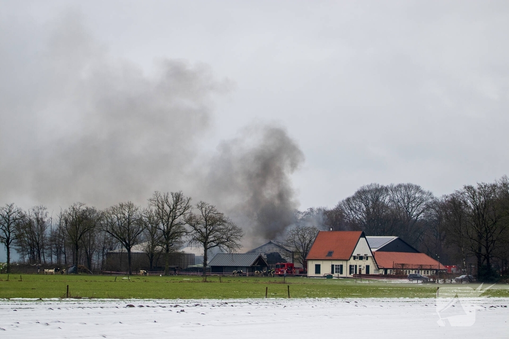 Brand in grote stal brengt vee in veiligheid