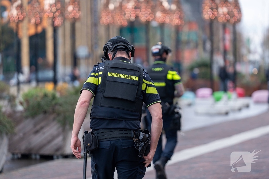 Schietpartij leidt tot grote politie-inzet