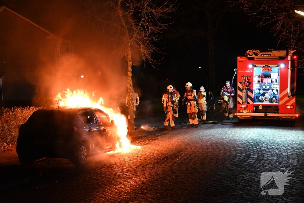 Auto in nachtelijke uren verwoest
