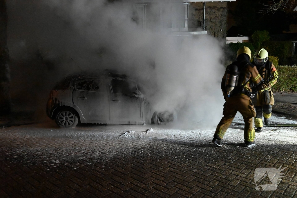 Auto in nachtelijke uren verwoest
