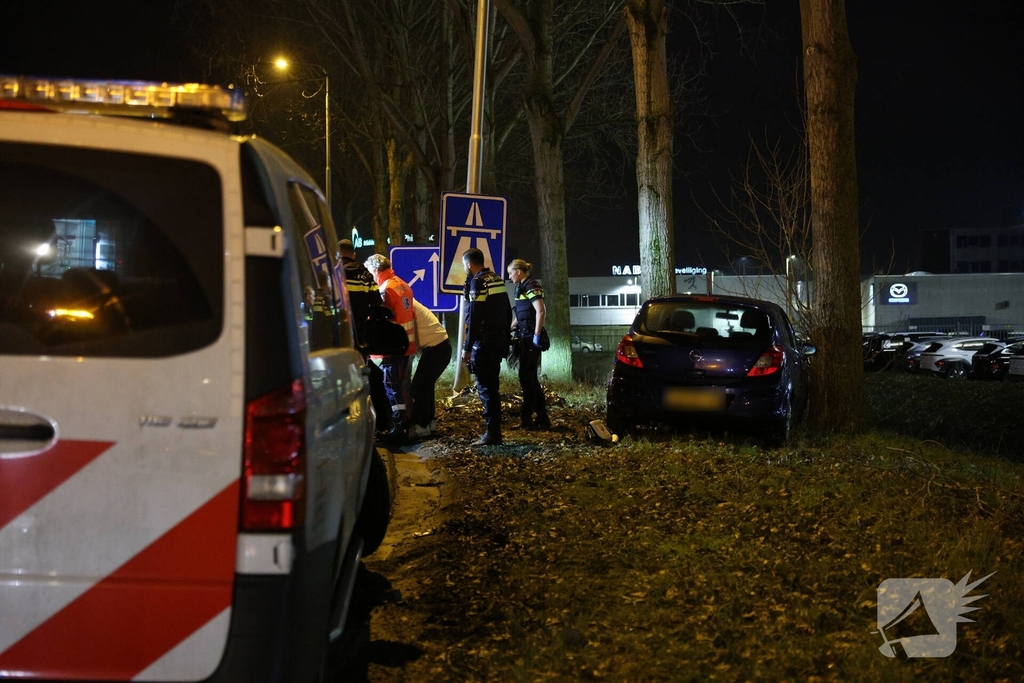 Bestuurder onwel na aanrijding met lantaarnpaal en boom