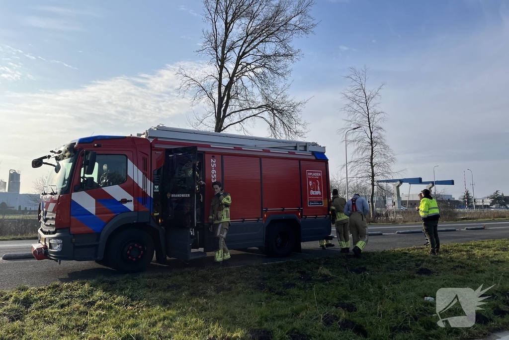 Brandweer redt duif uit boom