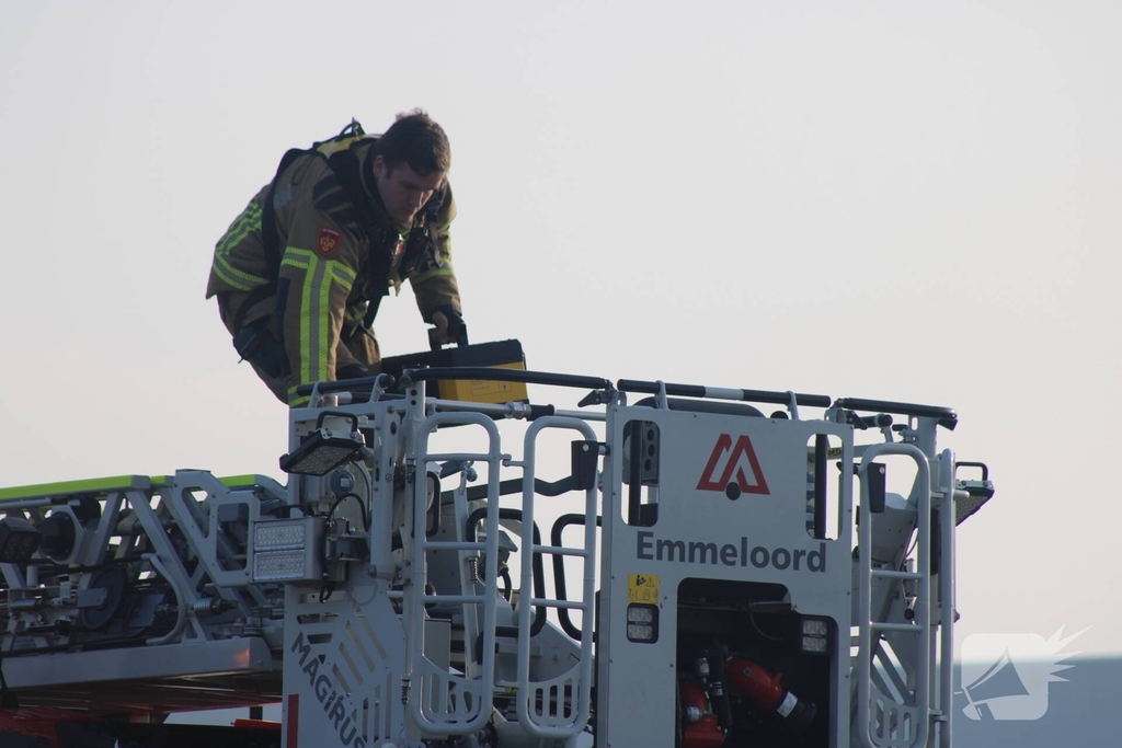 Brandweer redt duif uit boom