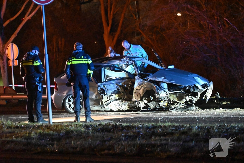 Automobilist botst tegen boom en lantaarnpaal, enorme ravage als gevolg
