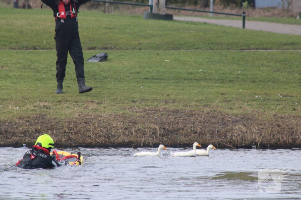 Brandweer probeert eend te redden uit het water