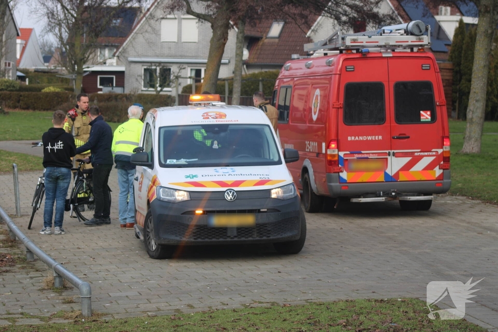 Brandweer probeert eend te redden uit het water