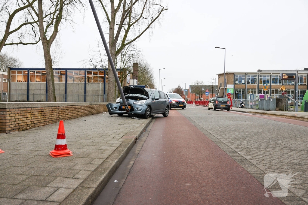 Bestuurder botst tegen lantaarnpaal na uitwijken voor zwaan