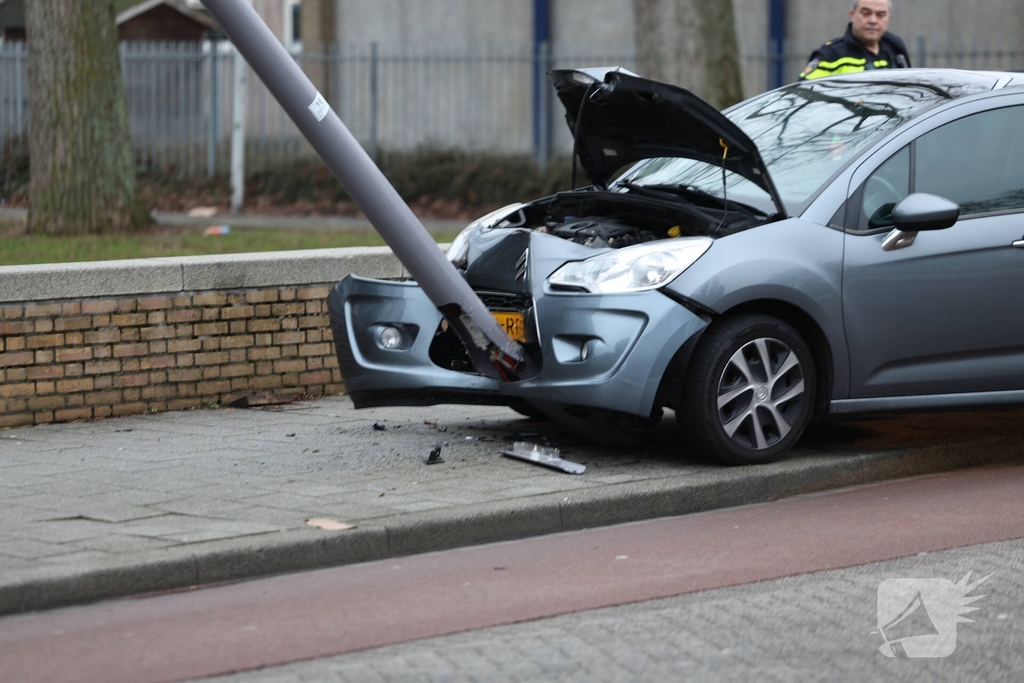 Bestuurder botst tegen lantaarnpaal na uitwijken voor zwaan