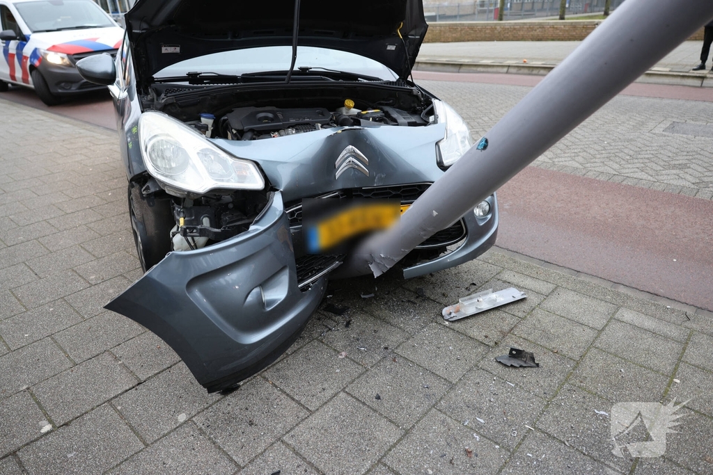 Bestuurder botst tegen lantaarnpaal na uitwijken voor zwaan