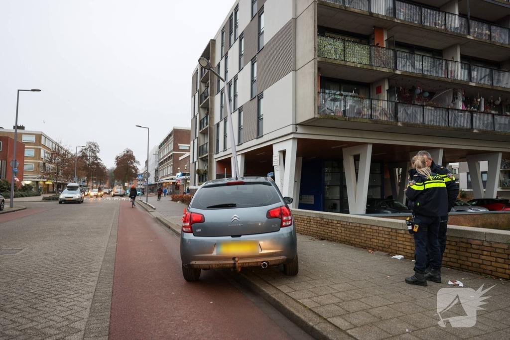 Bestuurder botst tegen lantaarnpaal na uitwijken voor zwaan